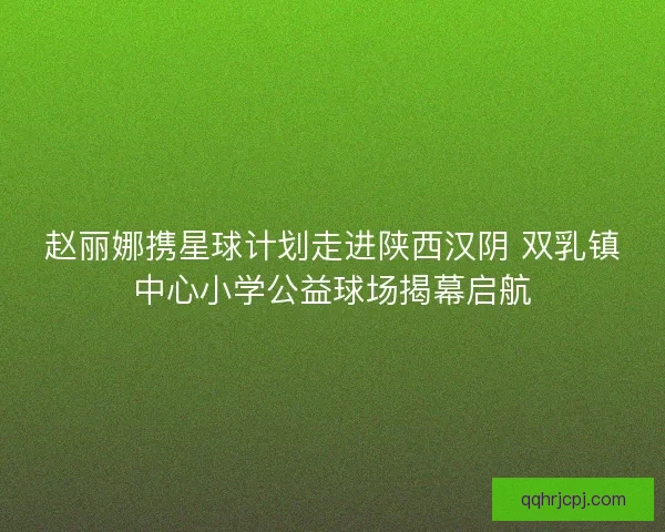 赵丽娜携星球计划走进陕西汉阴 双乳镇中心小学公益球场揭幕启航